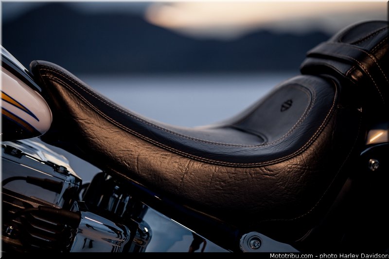 cvo_softail_deluxe_009_harley_davidson_2014