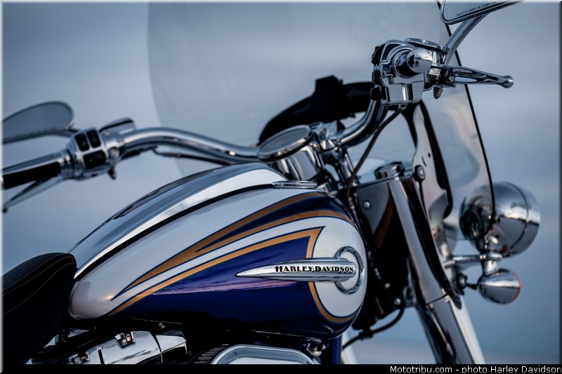 cvo_softail_deluxe_014_harley_davidson_2014
