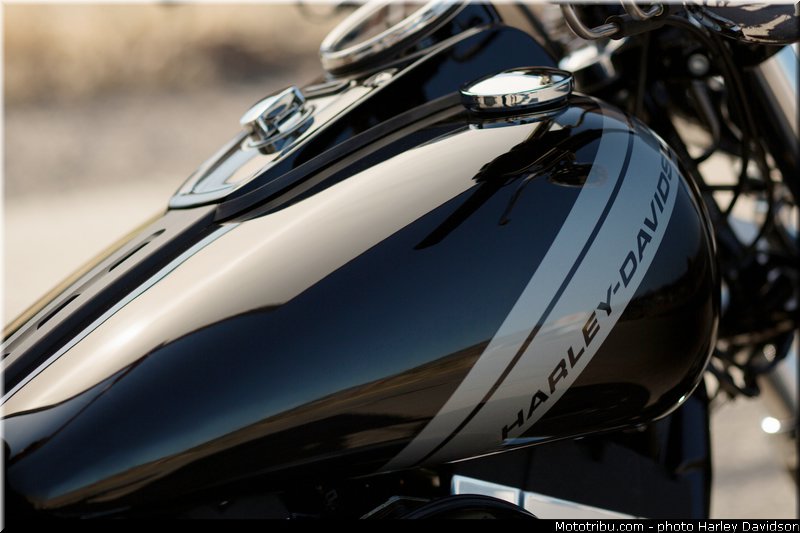 dyna_fat_bob_006_harley_davidson_2014