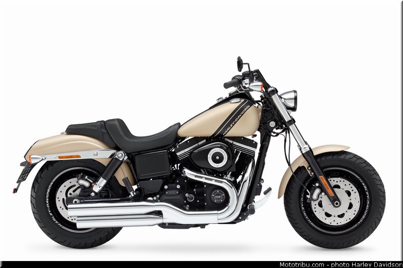 dyna_fat_bob_012_harley_davidson_2014