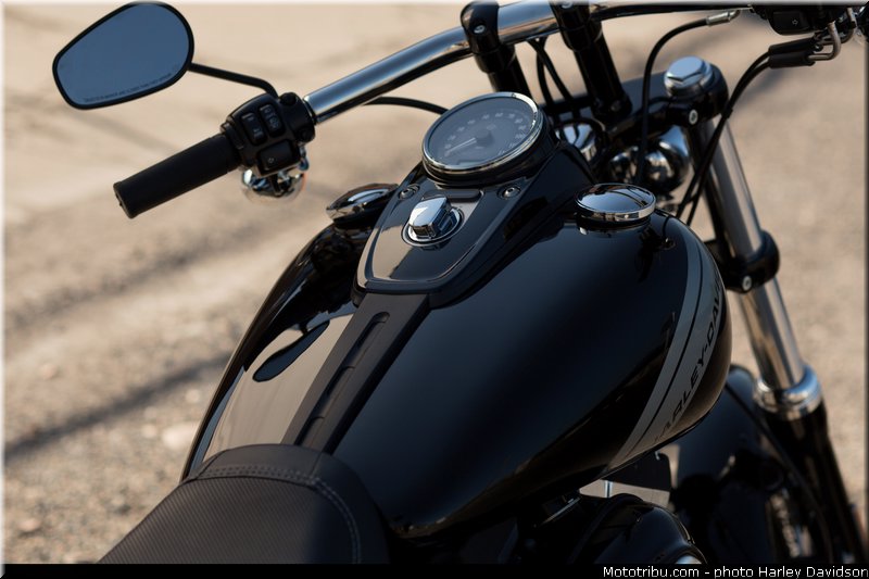 dyna_fat_bob_015_harley_davidson_2014
