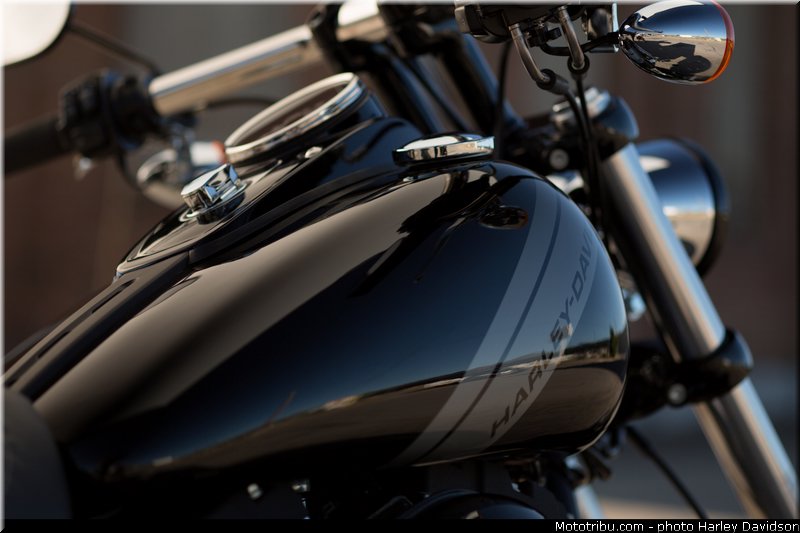 dyna_fat_bob_016_harley_davidson_2014