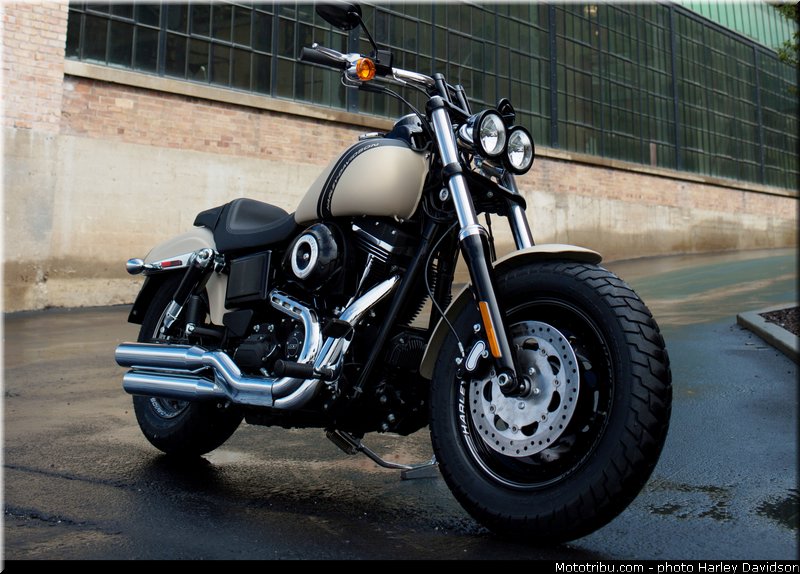 dyna_fat_bob_019_harley_davidson_2014
