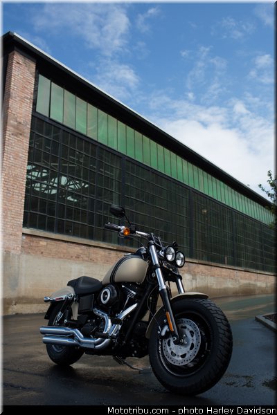 dyna_fat_bob_020_harley_davidson_2014
