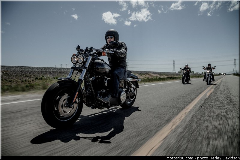 dyna_fat_bob_023_harley_davidson_2014