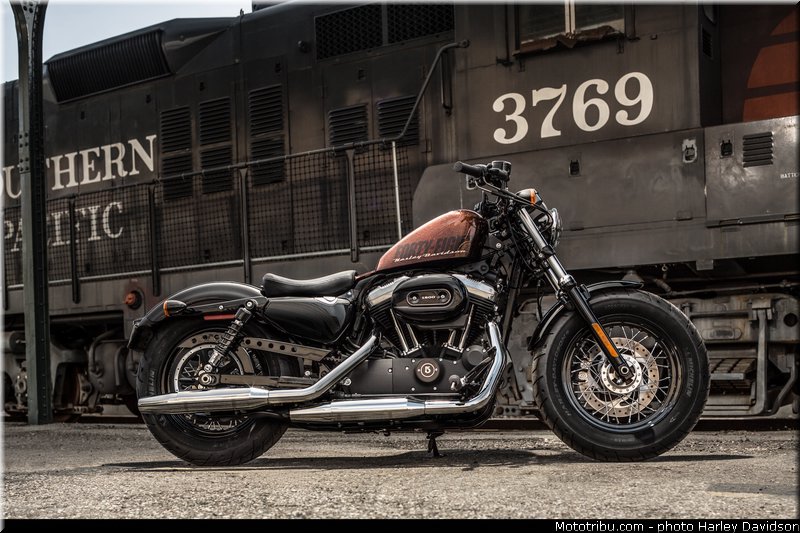 forty_eight_001_harley_davidson_2014