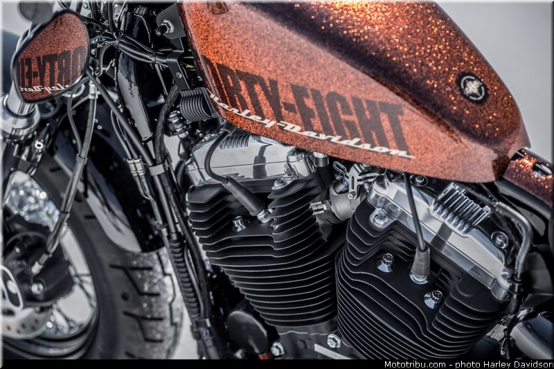 forty_eight_008_harley_davidson_2014
