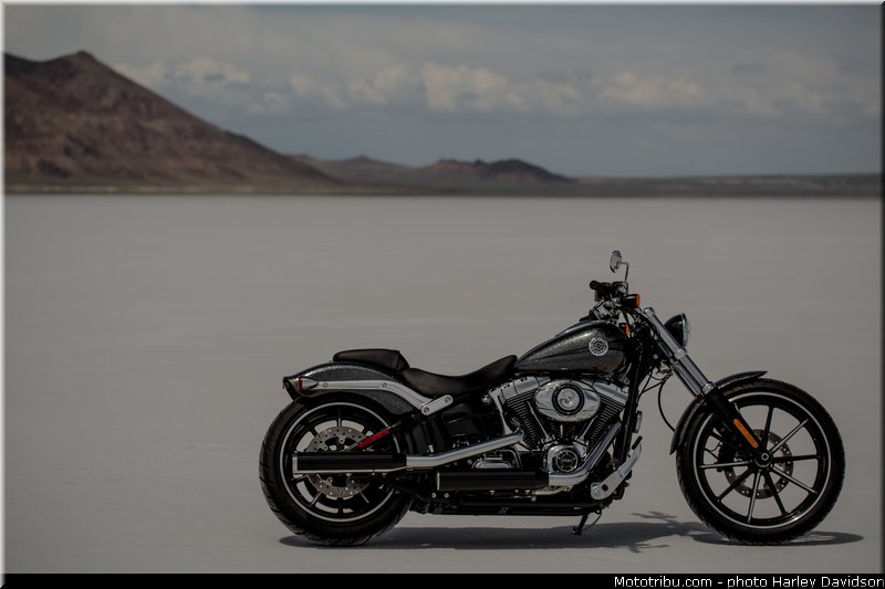 hard_candy_custom_001_harley_davidson_2014