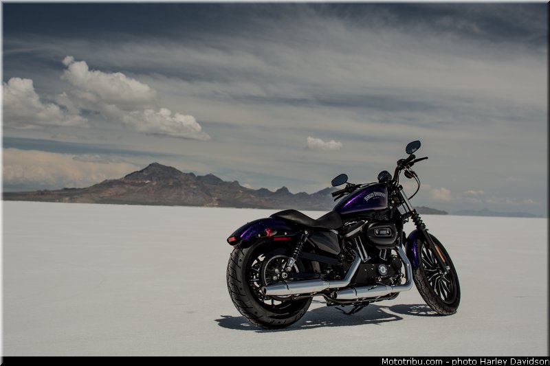 hard_candy_custom_003_harley_davidson_2014