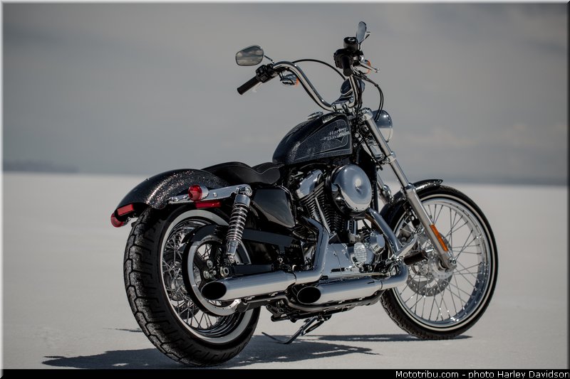 hard_candy_custom_004_harley_davidson_2014