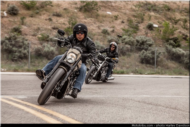 night_rod_special_006_harley_davidson_2014