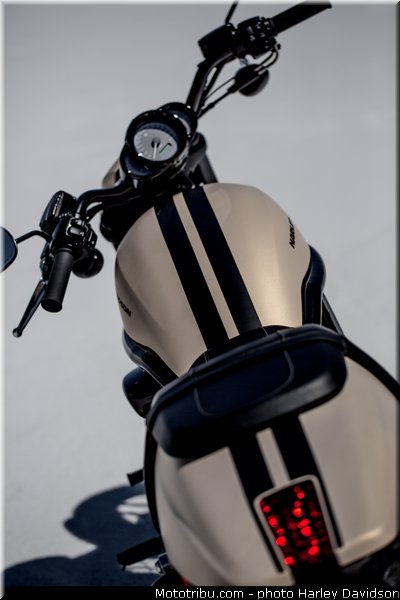 night_rod_special_008_harley_davidson_2014