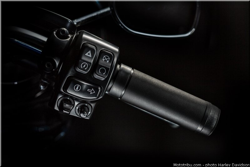 projet_rushmore_005_harley_davidson_2014