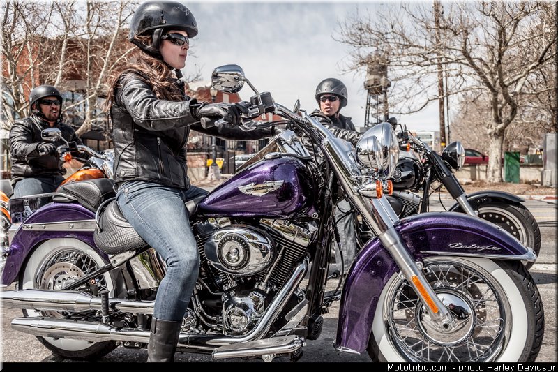 softail_deluxe_008_harley_davidson_2014