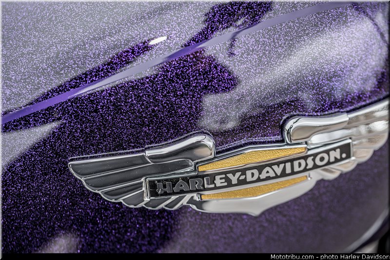 softail_deluxe_009_harley_davidson_2014