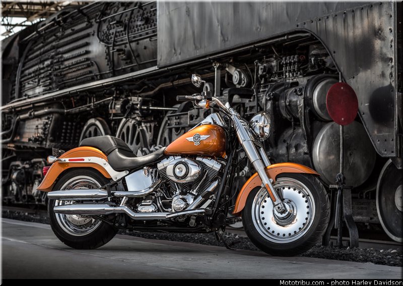 softail_fat_boy_001_harley_davidson_2014