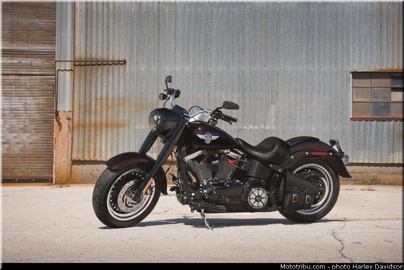 softail_fat_boy_special_003_harley_davidson_2014