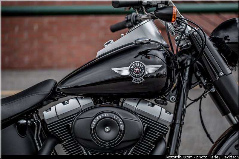 softail_fat_boy_special_006_harley_davidson_2014