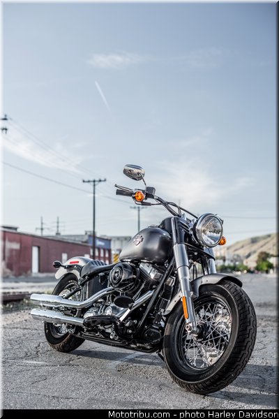 softail_slim_005_harley_davidson_2014