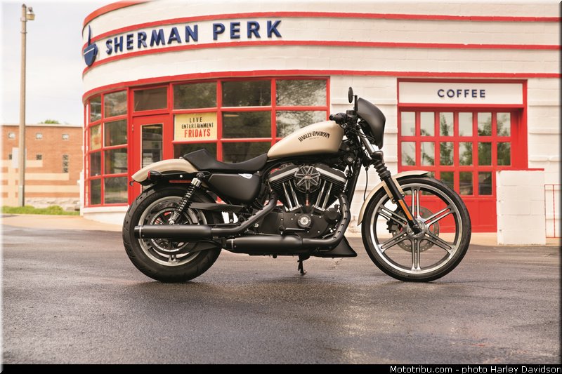 sportster_iron_883_003_harley_davidson_2014