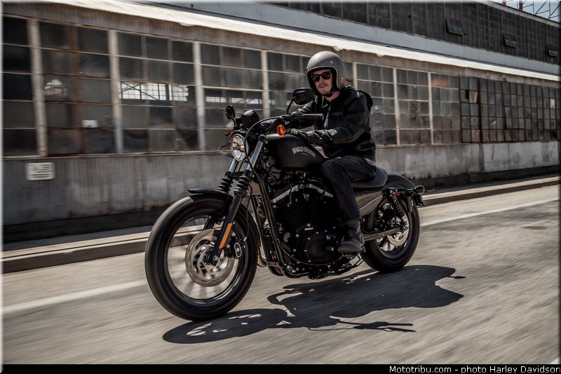 sportster_iron_883_004_harley_davidson_2014
