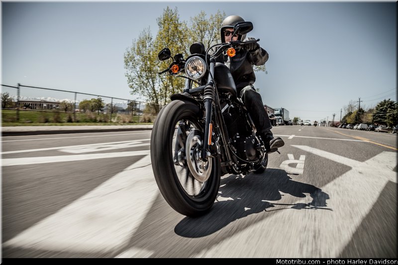 sportster_iron_883_005_harley_davidson_2014