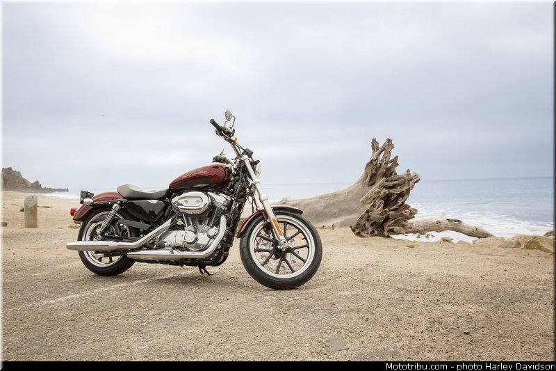 sportster_superlow_001_harley_davidson_2014