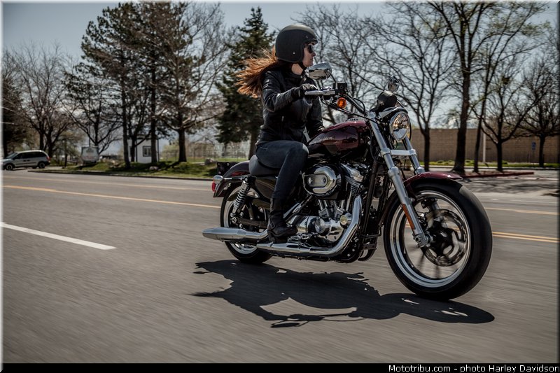 sportster_superlow_004_harley_davidson_2014