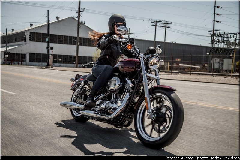 sportster_superlow_005_harley_davidson_2014