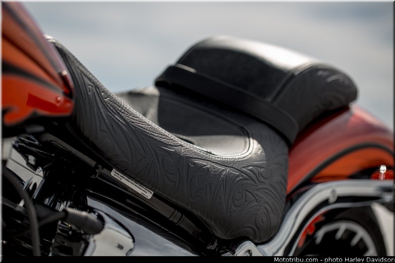 style_002_harley_davidson_2014