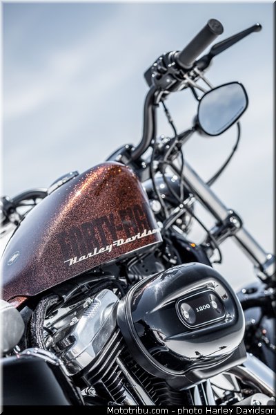 style_004_harley_davidson_2014