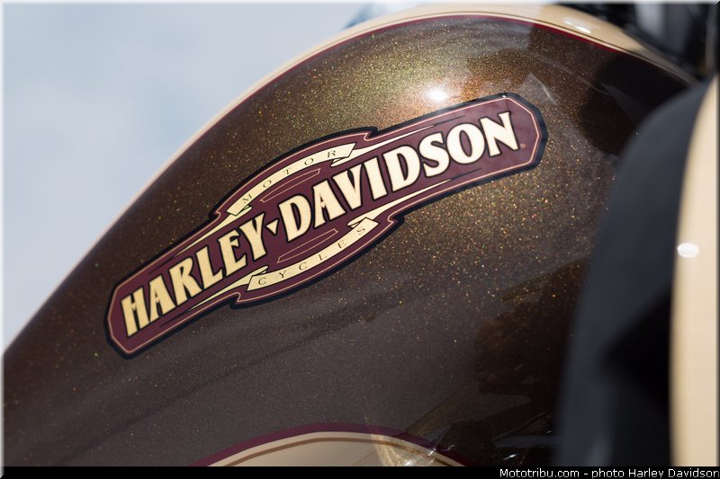 touring_electra_glide_ultra_classic_004_harley_davidson_2014