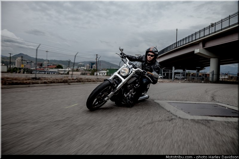 v_rod_muscle_001_harley_davidson_2014