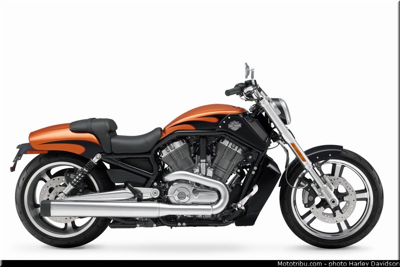 v_rod_muscle_002_harley_davidson_2014