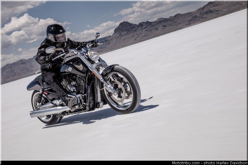 v_rod_muscle_004_harley_davidson_2014