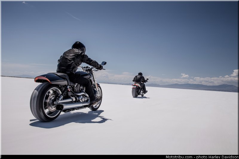 v_rod_muscle_005_harley_davidson_2014