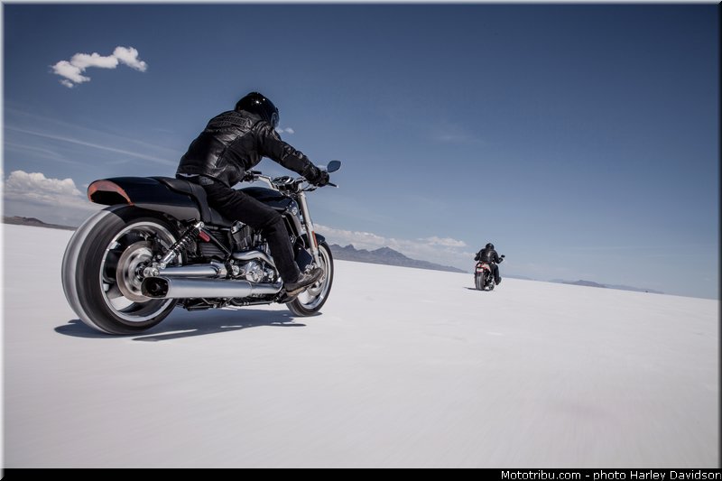 v_rod_muscle_006_harley_davidson_2014
