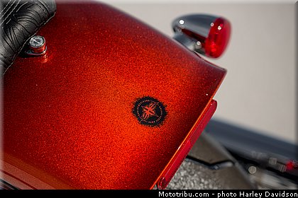 cvo_breakout_010_harley_davidson_2014.jpg