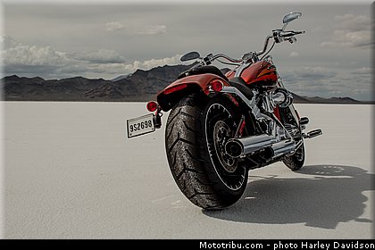 cvo_breakout_013_harley_davidson_2014.jpg