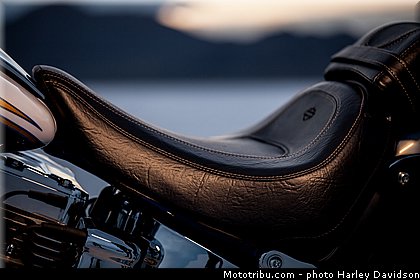 cvo_softail_deluxe_009_harley_davidson_2014.jpg