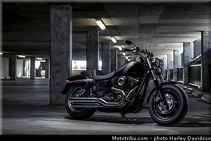 dyna_fat_bob_001_harley_davidson_2014.jpg