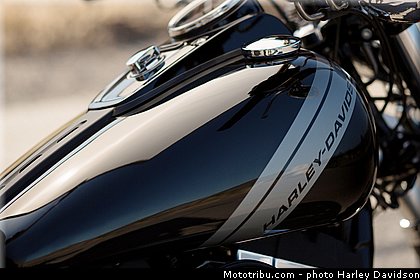 dyna_fat_bob_006_harley_davidson_2014.jpg
