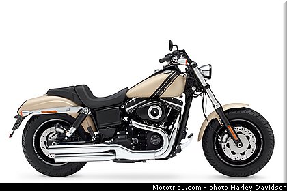 dyna_fat_bob_012_harley_davidson_2014.jpg