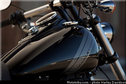 dyna_fat_bob_016_harley_davidson_2014.jpg