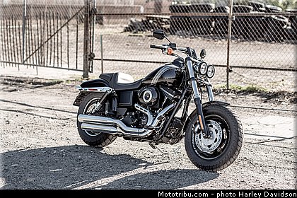 dyna_fat_bob_017_harley_davidson_2014.jpg