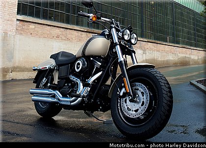 dyna_fat_bob_019_harley_davidson_2014.jpg