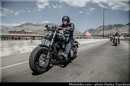 dyna_fat_bob_021_harley_davidson_2014.jpg
