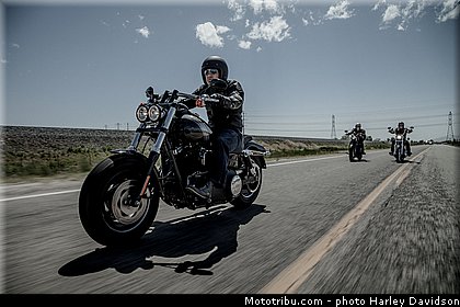 dyna_fat_bob_023_harley_davidson_2014.jpg