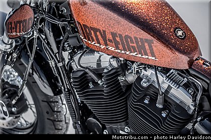 forty_eight_008_harley_davidson_2014.jpg