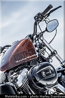 forty_eight_010_harley_davidson_2014.jpg